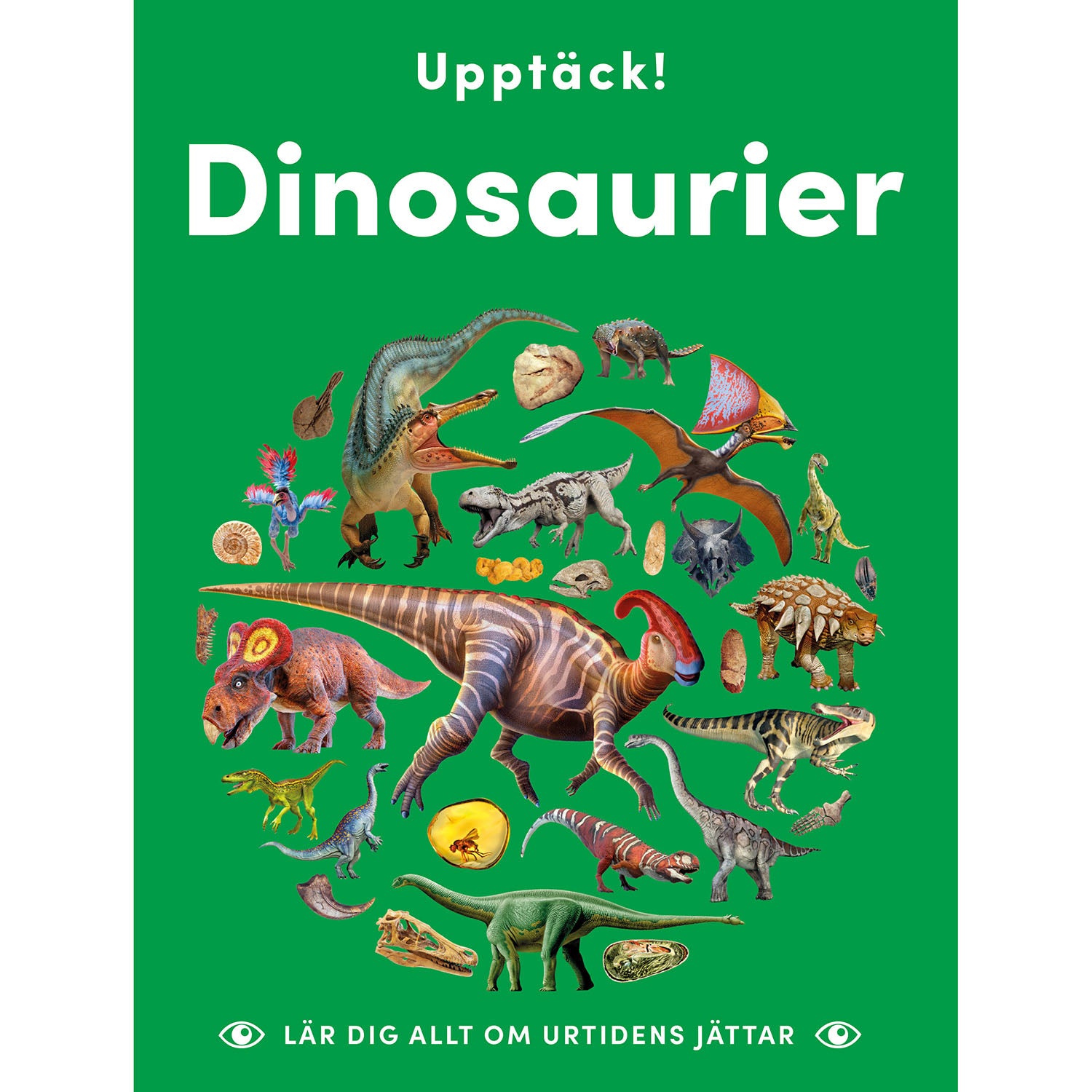 LIND & CO Upptäck dinosaurier : lär dig